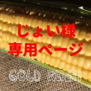 じょい様 専用ページ ゴールドラッシュ２４本(野菜)