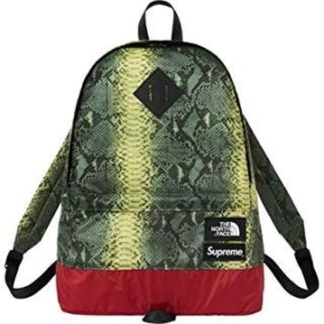 supreme the north face day pack リュック　正規品メンズ