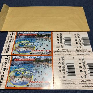 長島ジャンボ海水プール入場券(プール)