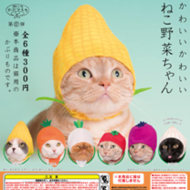 ねこ野菜ちゃん 3点セット その他のペット用品(猫)の商品写真