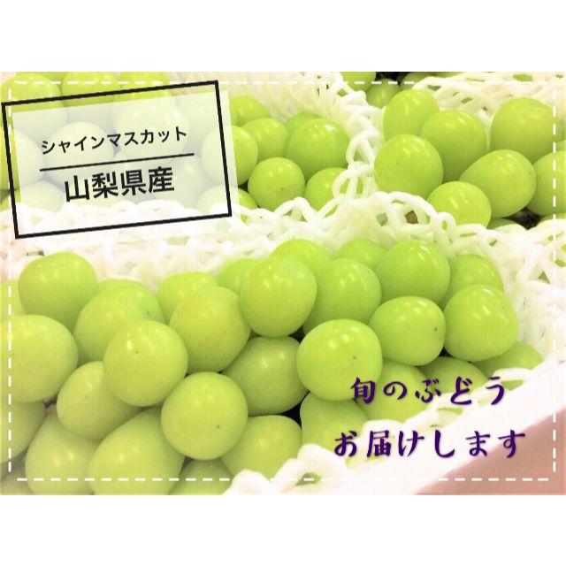 山梨県甲州勝沼産 ぶどう シャインマスカット 秀品 3房 食品/飲料/酒の食品(フルーツ)の商品写真