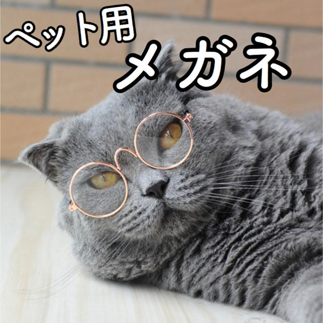 【新品】猫 犬 うさぎ サングラス メガネ 眼鏡 コスプレ ブライス その他のペット用品(猫)の商品写真