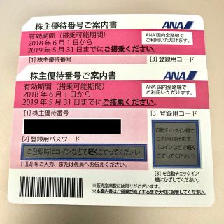 エーエヌエー(ゼンニッポンクウユ)(ANA(全日本空輸))のANA 株主優待券 2枚(その他)