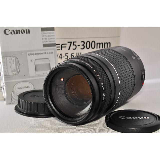 Canon - まいまい CANON EF 75-300mm 1:4-5.6 Ⅲ