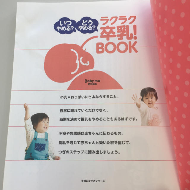 ラクラク卒乳！BOOK エンタメ/ホビーの本(住まい/暮らし/子育て)の商品写真