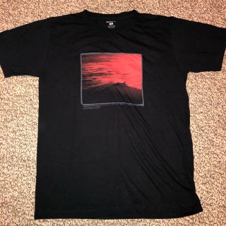 パタゴニア(patagonia)のパタゴニア Tシャツ(Tシャツ/カットソー(半袖/袖なし))