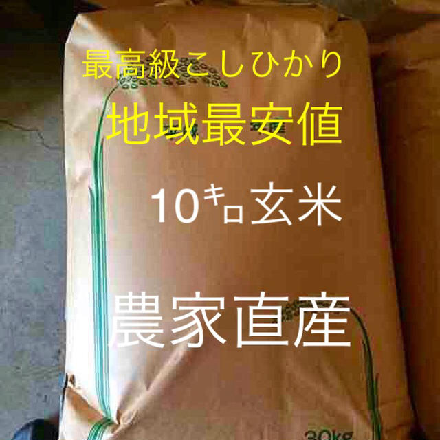 お米 ちっこ様専用 こしひかり 10㎏ 精米 食品/飲料/酒の食品(米/穀物)の商品写真