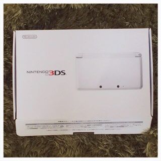 3DS ホワイト(その他)