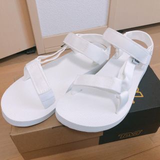 テバ(Teva)のteva  サンダル24cm ユニバーサル(サンダル)