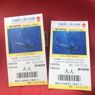 ＊沖縄 美ら海水族館 大人 ペチケット＊(水族館)