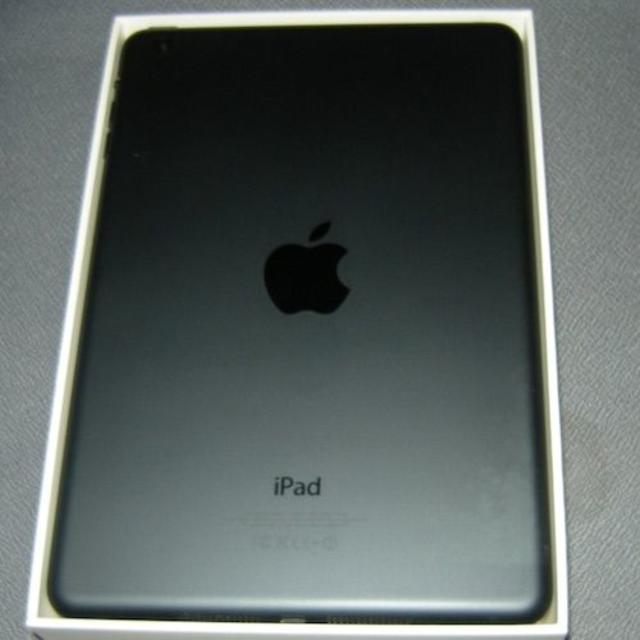 スマホ iPad mini WiFi Black 16GB PC/タブレット - www.alport.it