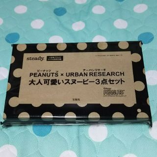 アーバンリサーチ(URBAN RESEARCH)の大人可愛いスヌーピー3点セット(ポーチ)