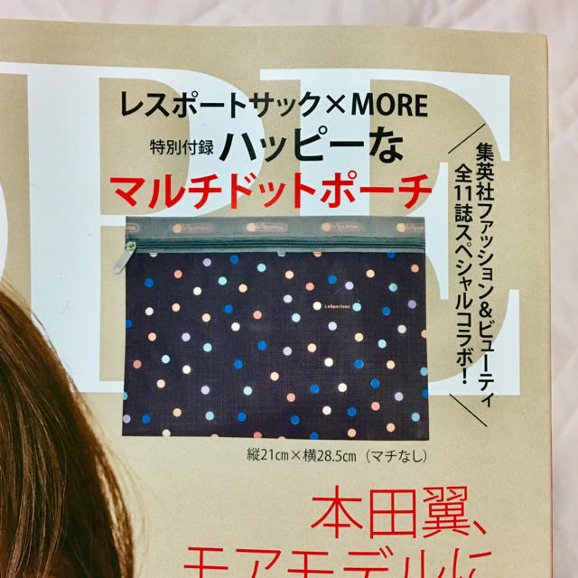 LeSportsac(レスポートサック)のレスポートサック ポーチ  MORE 9月号付録 レディースのファッション小物(ポーチ)の商品写真