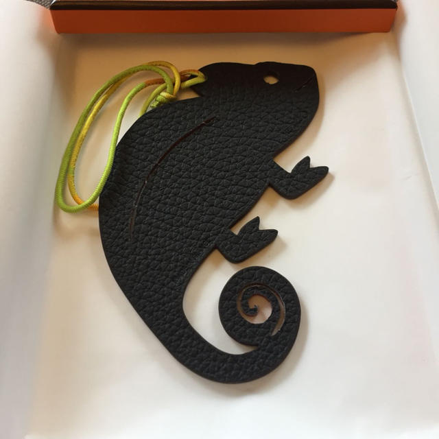 ☆Hermes☆ プティアッシュ カメレオン | datatraceautomation.in