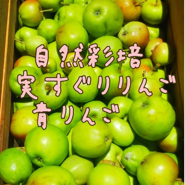 自然彩培 実すぐり（未熟果）りんご2.5kg 食品/飲料/酒の食品(フルーツ)の商品写真