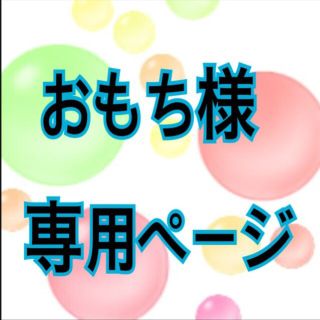 おもち様 専用(その他)