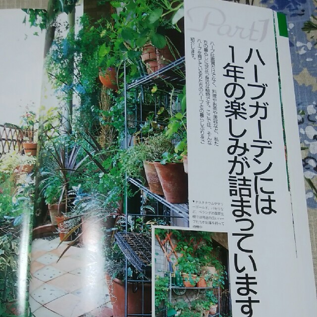 インテリアガーデン　秋号 エンタメ/ホビーの雑誌(ファッション)の商品写真