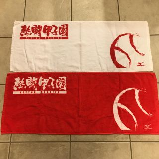 ミズノ(MIZUNO)の熱闘甲子園 タオル(応援グッズ)