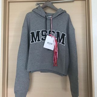 エムエスジイエム(MSGM)のMSGM エムエスジイエム ロゴパーカー(トレーナー/スウェット)