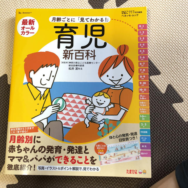 育児新百科 エンタメ/ホビーの本(住まい/暮らし/子育て)の商品写真