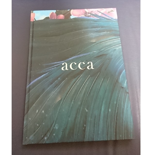 acca(アッカ)の2018-19FW accabook レディースのヘアアクセサリー(ヘアピン)の商品写真