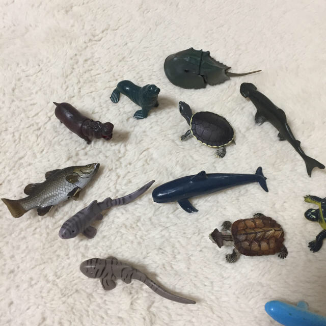 色々生き物 フィギュア カメ  １５個 エンタメ/ホビーのフィギュア(その他)の商品写真