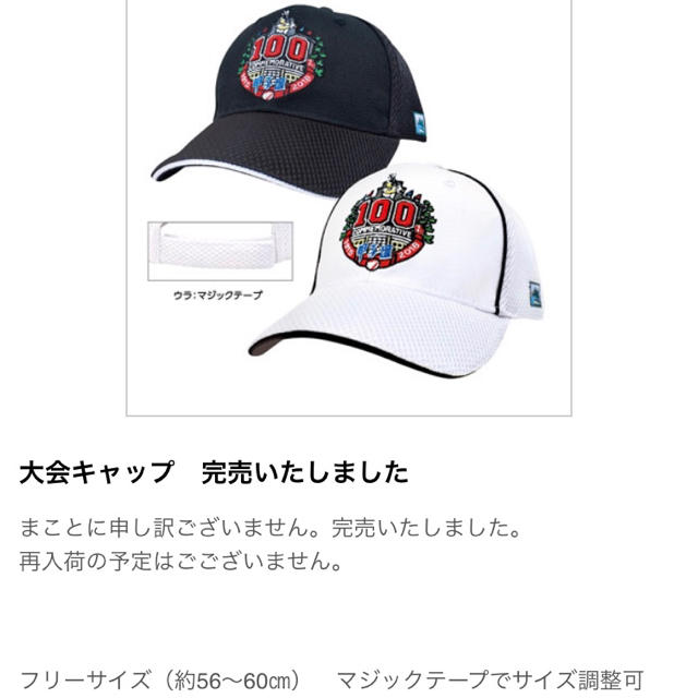 第100回 高校野球 甲子園 キャップ  帽子 スポーツ/アウトドアの野球(記念品/関連グッズ)の商品写真