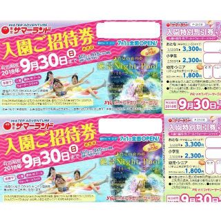 東京サマーランド 入園ご招待券 2枚セット 夏休み 9月30日まで有効(プール)