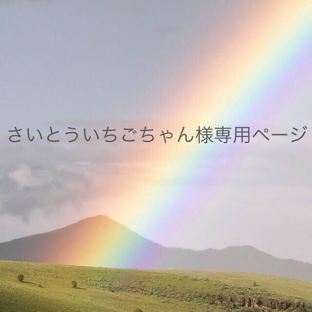 さいとういちごちゃん様専用ページ-