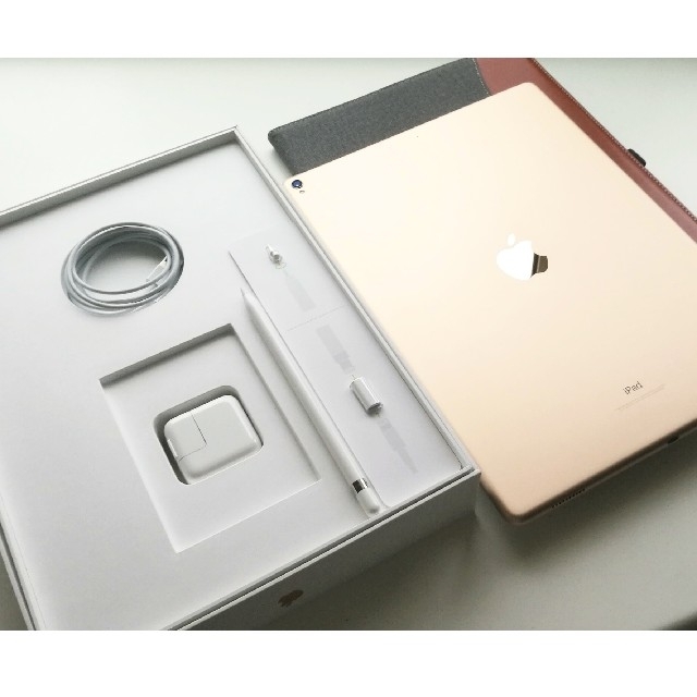 iPad - ipad pro 12.9 イラスト向けセット