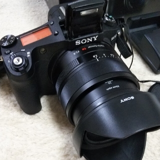 ソニー(SONY)のkumakumaさん専用　SONY RX10 m2　付属品多数！！(コンパクトデジタルカメラ)