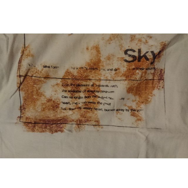 Raymond Basquiat(レイモンドバスキア)のメンズ7分袖プリントTシャツ M メンズのトップス(Tシャツ/カットソー(七分/長袖))の商品写真