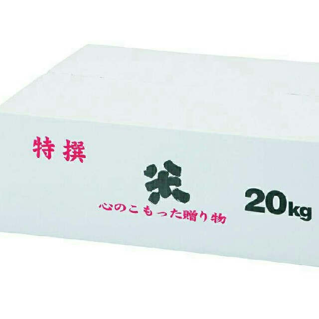 8月20日発送29年度滋賀のコシヒカリ玄米20kg 10kg✖2袋お米送込 - 米/穀物