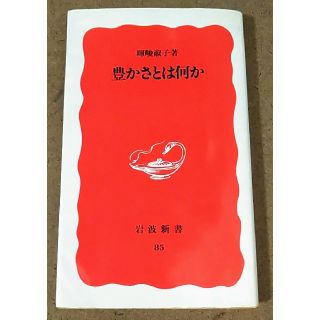 イワナミショテン(岩波書店)の絶版 岩波新書 暉峻淑子 てるおかいつこ 豊かさとは何か(ノンフィクション/教養)