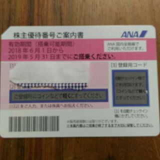 エーエヌエー(ゼンニッポンクウユ)(ANA(全日本空輸))のANA 株主優待券 1枚(その他)