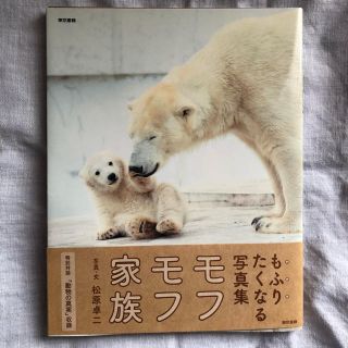 トウキョウショセキ(東京書籍)のモフモフ家族  著者:松原 卓二(その他)