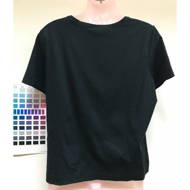 AQUA SCUTUM(アクアスキュータム)のアクアスキュータム Tシャツ 黒 チェック 13号 レディースのトップス(Tシャツ(半袖/袖なし))の商品写真