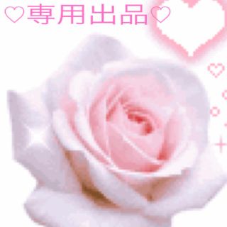 ロータス＊ロータス様★専用(その他)