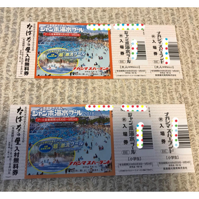 ナガシマ ジャンボ海水プール 入場券 チケットの施設利用券(遊園地/テーマパーク)の商品写真