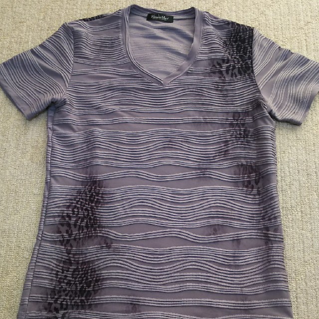 TORNADO MART(トルネードマート)のトルネードマート Tシャツ レオパード柄 Ｍ メンズのトップス(シャツ)の商品写真