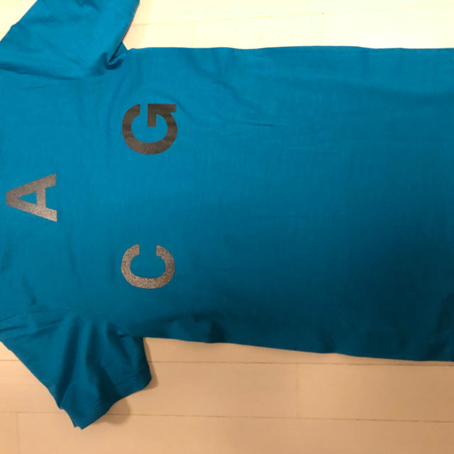 NIKE(ナイキ)のyopetanさん専用 ナイキ  ACG  Ｔシャツ カラー   メンズのトップス(Tシャツ/カットソー(半袖/袖なし))の商品写真