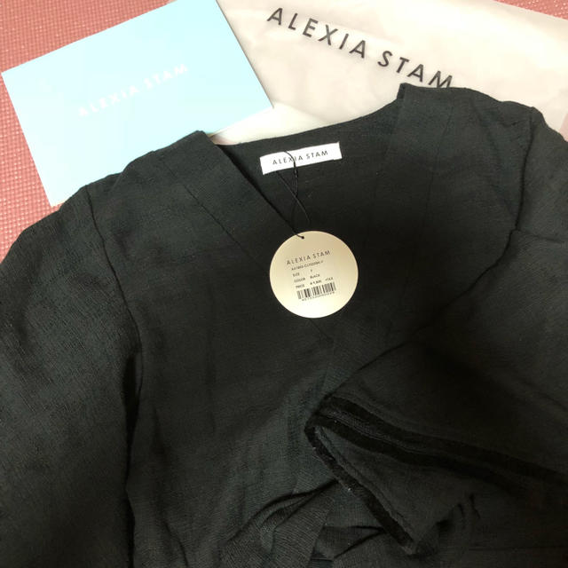 ALEXIA STAM(アリシアスタン)のなつみ様 専用 レディースのトップス(シャツ/ブラウス(半袖/袖なし))の商品写真