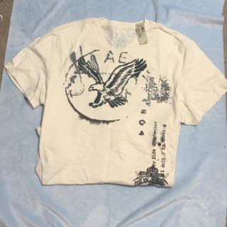 アメリカンイーグル(American Eagle)のkingdom様専用アメリカンイーグル胸囲124cmXXXLサイズTシャツ(Tシャツ/カットソー(半袖/袖なし))