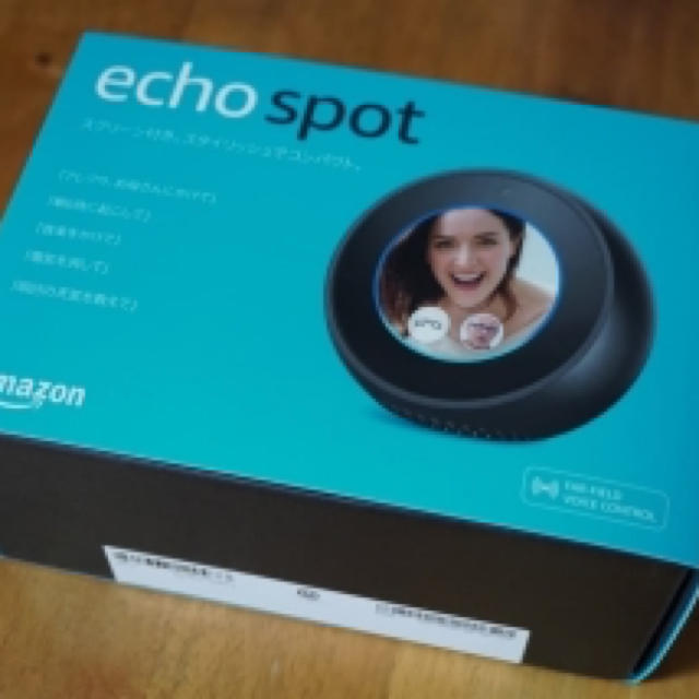 Echo Spot (エコースポット)