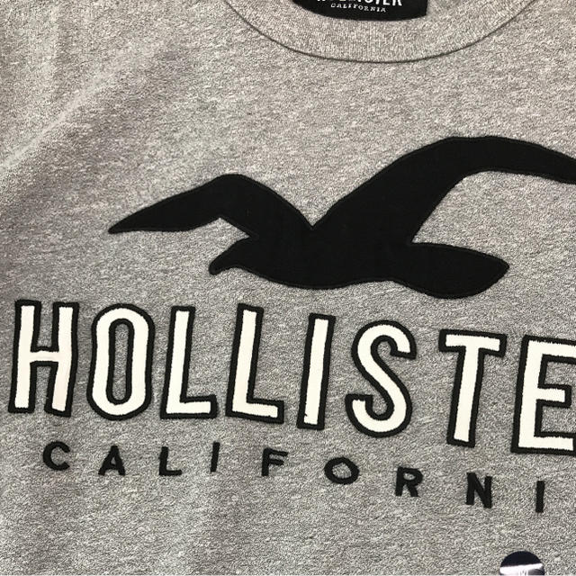 Hollister(ホリスター)のHOLLISTER ホリスター Tシャツ メンズのトップス(Tシャツ/カットソー(半袖/袖なし))の商品写真