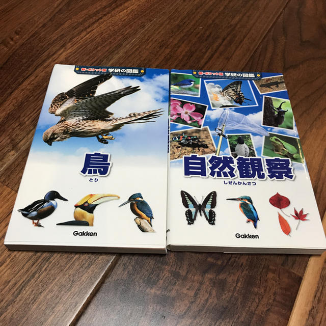 学研(ガッケン)のボニー様専用学研の図鑑 新ポケット版C エンタメ/ホビーの本(語学/参考書)の商品写真