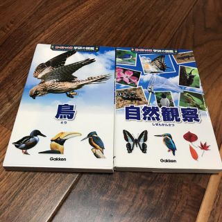 ガッケン(学研)のボニー様専用学研の図鑑 新ポケット版C(語学/参考書)