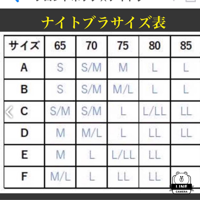 ナイトブラ ２枚組Ｓ〜 4Ｌ レディースの下着/アンダーウェア(ブラ)の商品写真