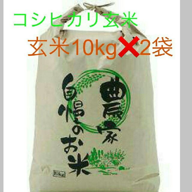 8月22日発送29年度滋賀のコシヒカリ玄米20kg 10kg✖2袋お米送込 米/穀物