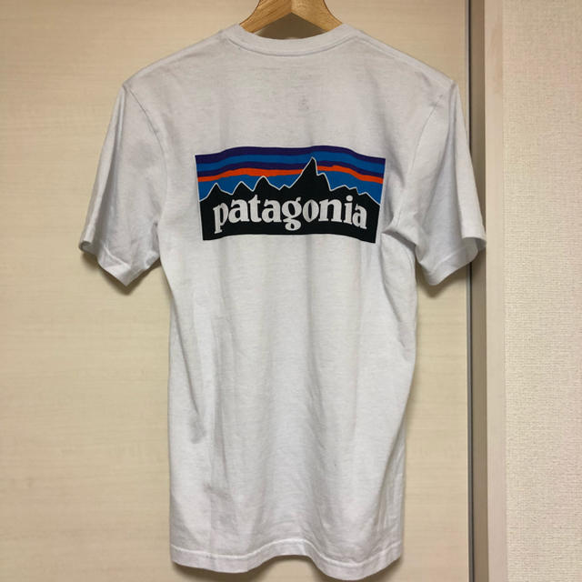 patagonia(パタゴニア)のTK310様専用 大人気 パタゴニア Tシャツ レディースのトップス(Tシャツ(半袖/袖なし))の商品写真